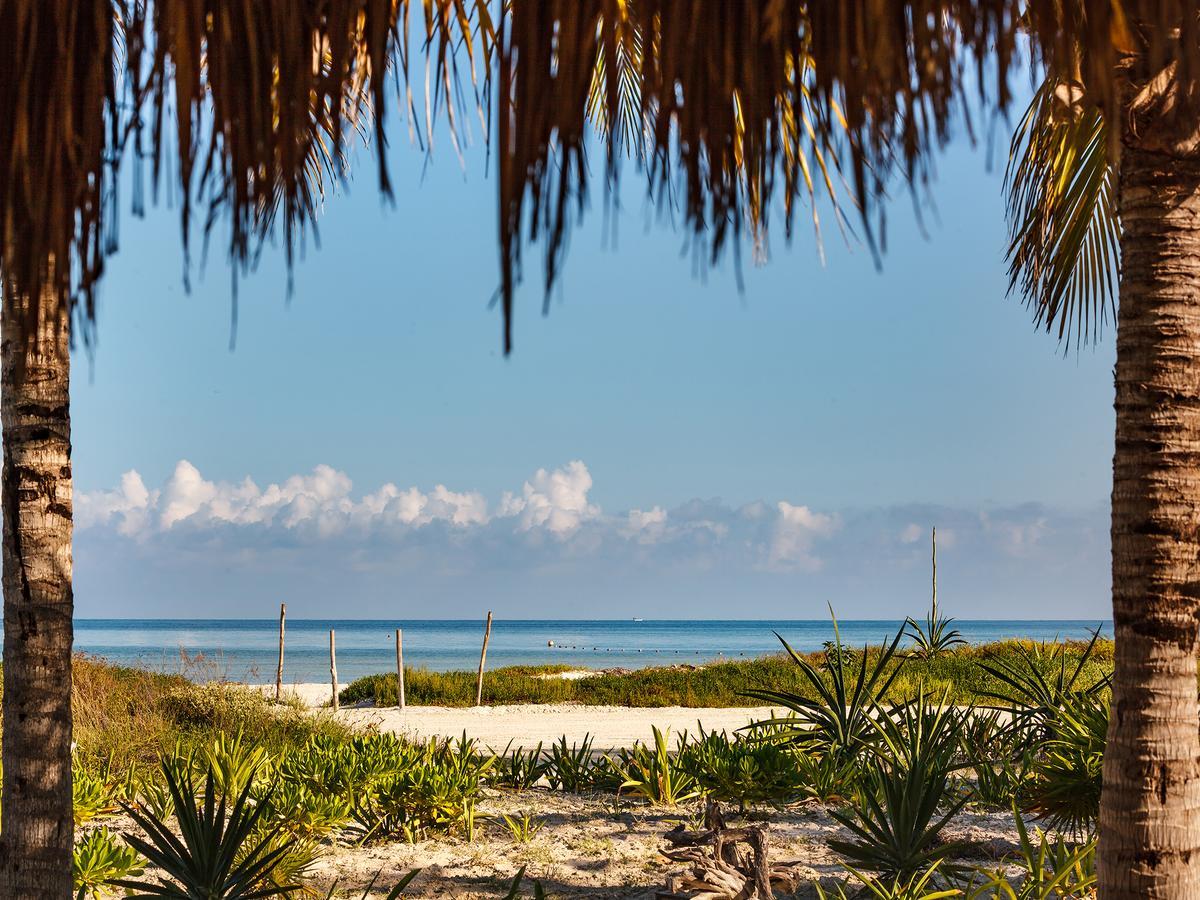 Villas Hm Palapas Del Mar Isla Holbox Buitenkant foto